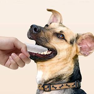 dog wipes