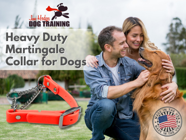 【Shiho】Ameri　RETURN COLLAR ALL IN ONE Amazon.com : Dog Training Collar, Dog Shock Collar with