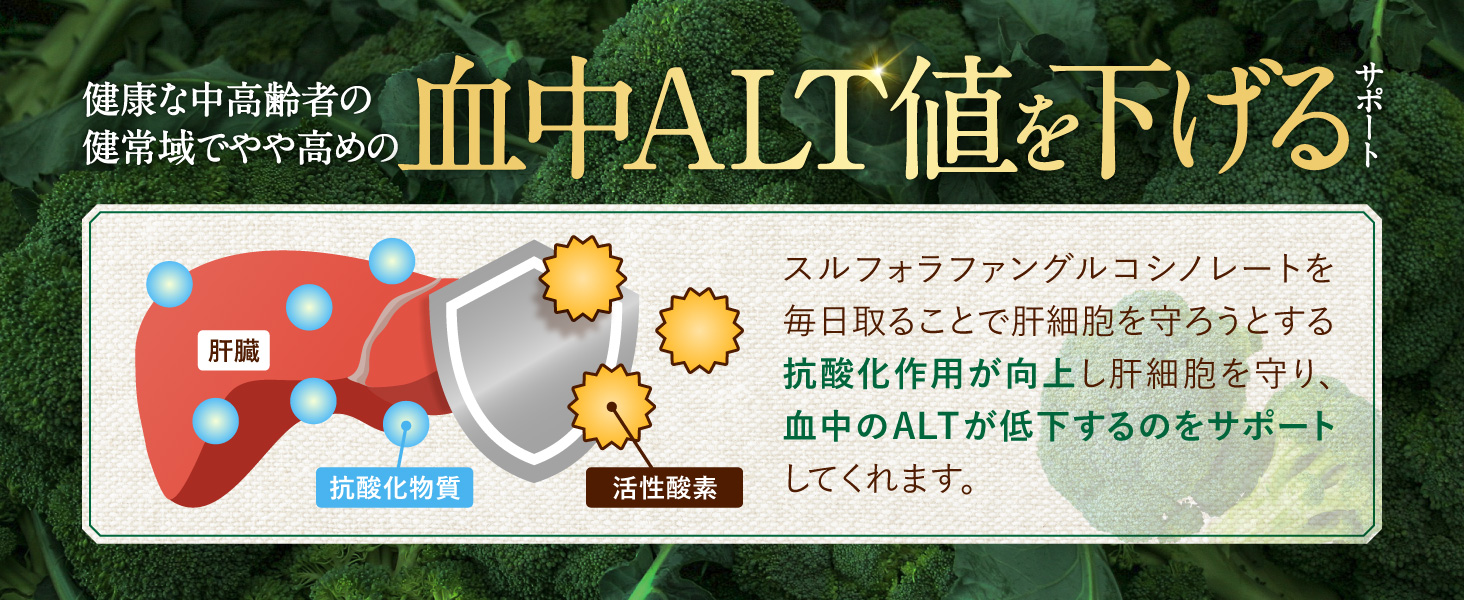 スルフォラファン&ギャバの恵み