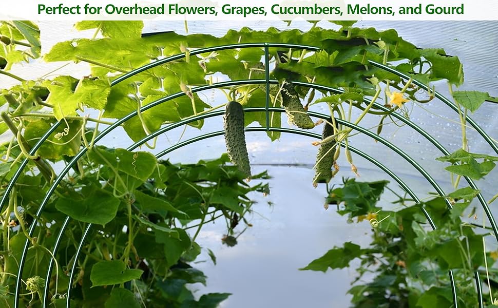 large plant trellis arch