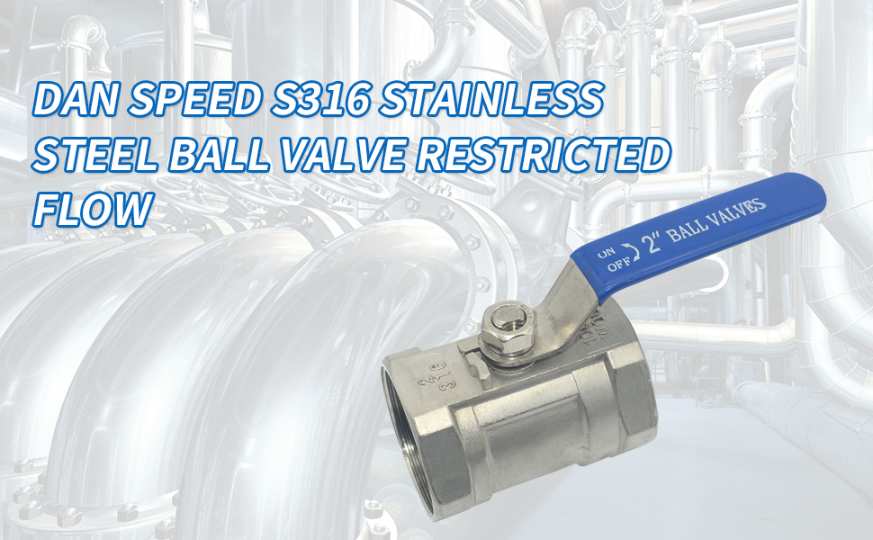 DAN SPEED NPT Stainless Steel SS304 Ball Valve 1PC Type