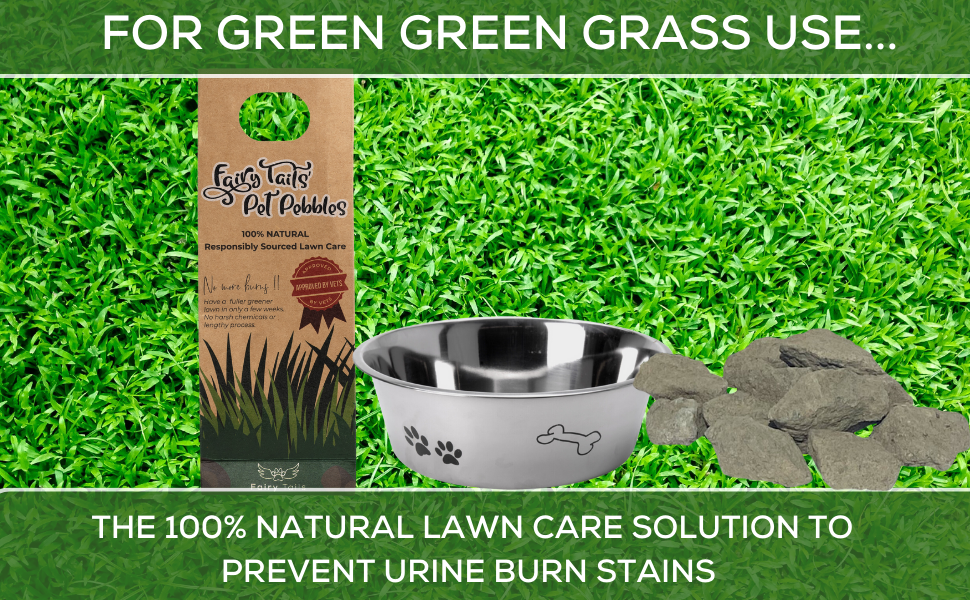 Fairy Tails' Pet Pebbles Dog Rocks for Water Bowls Dog Urine