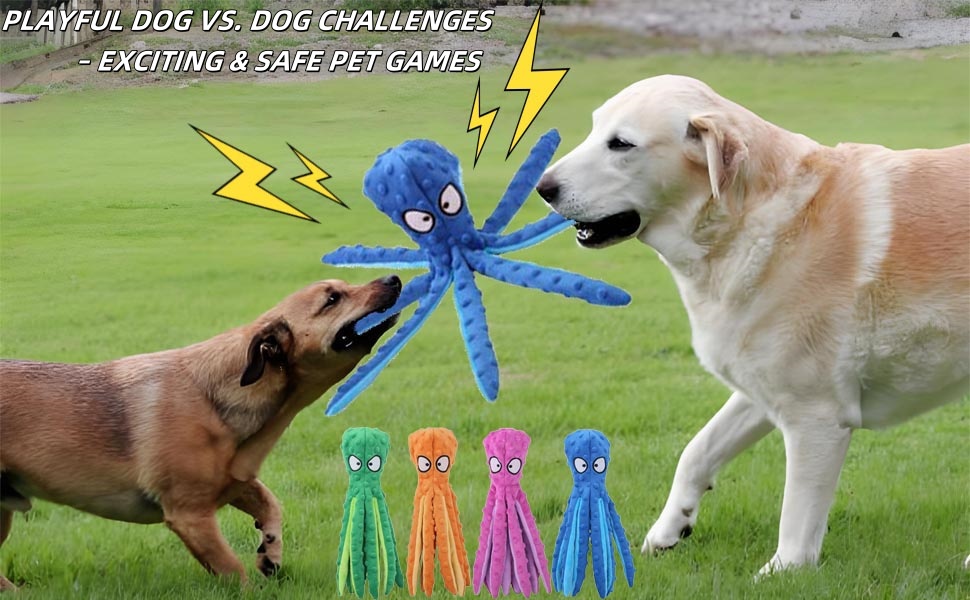 PLAYFUL DOG VS. DOG CHALLENGES – EXCITING & SAFE PET GAMES