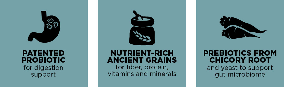 Contains patented probiotic, nutrient-rich ancient grains and prebiotics from chicory root.