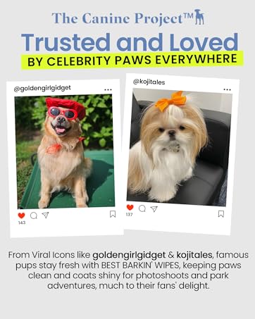 dog wipes misceller ear paw dog products cleaning tear stains coat fur face ear puppy