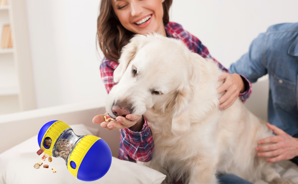 dog treat dispensing moving ball food puzzle toy