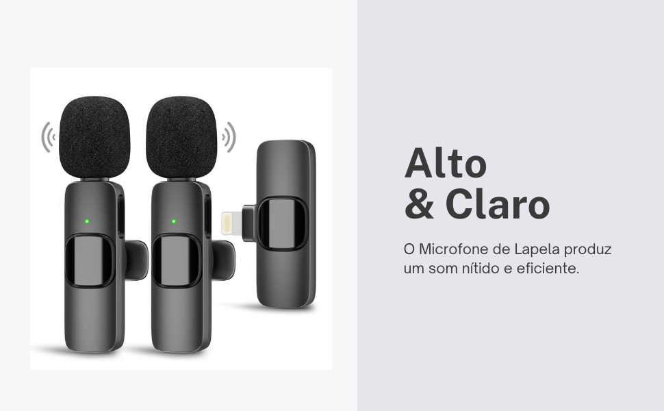 MIC3 Principal