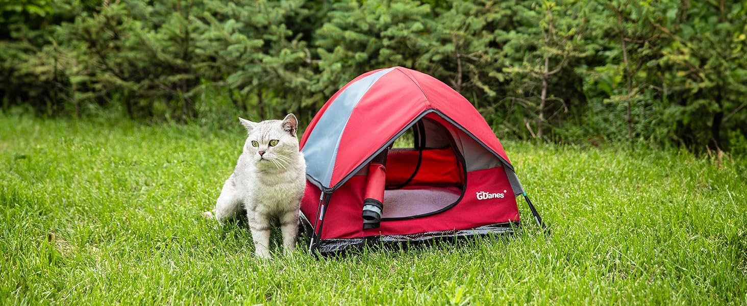 red cat tent