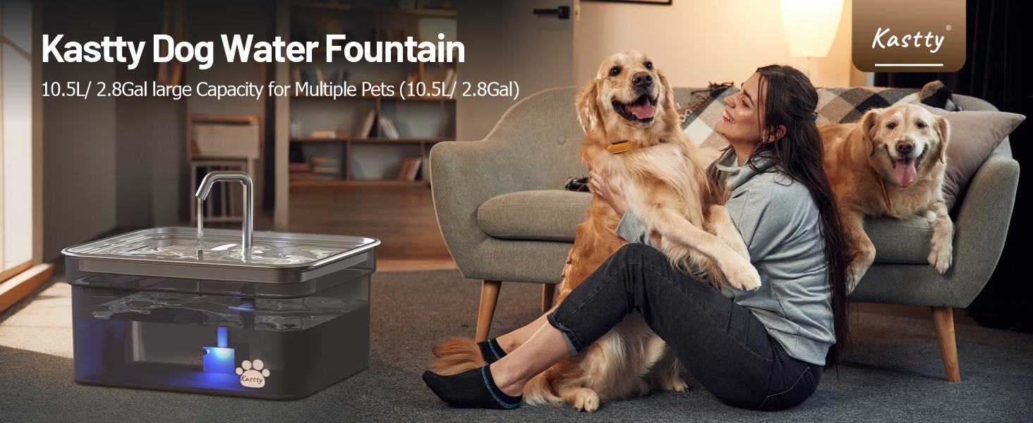 pet fountain
