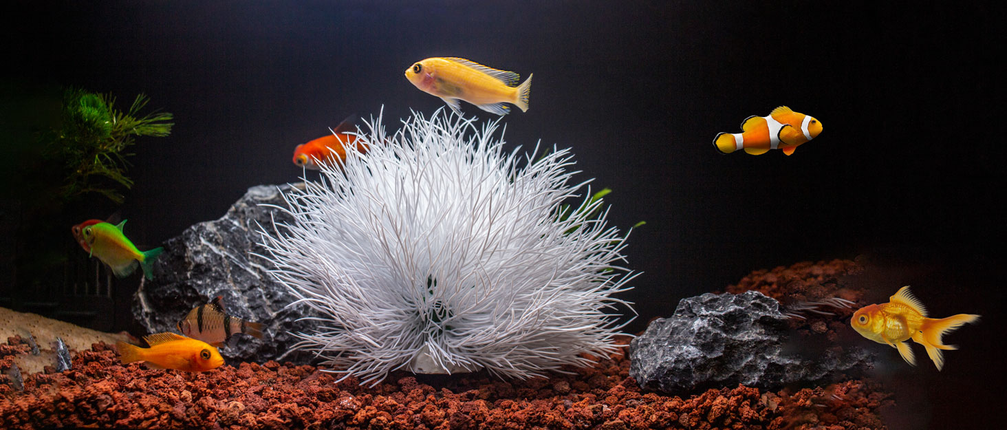 fish tank decorations plants aquarium decor