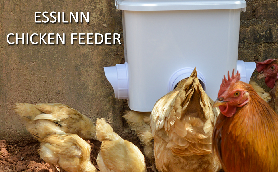 Automatic Chicken Feeder 20lb Chicken Feed Container
