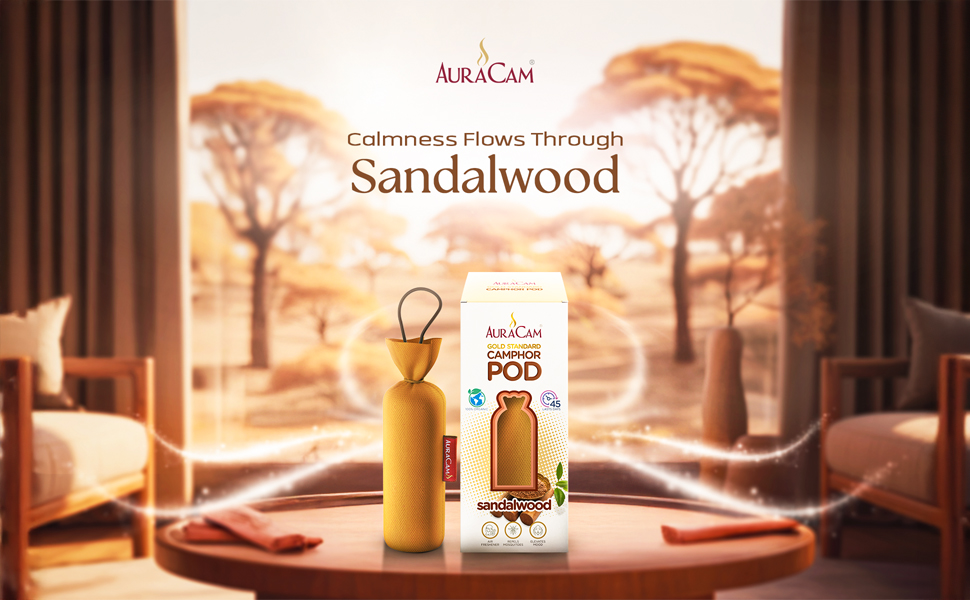 AuraCam Gold Standard Camphor Pod Cone Sandalwood