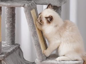 cat tree