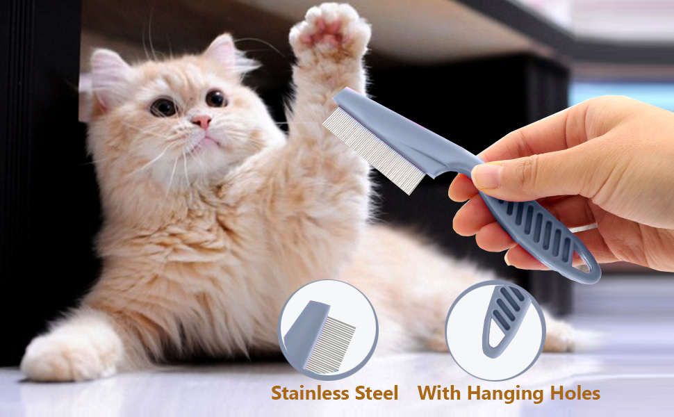 cat brush