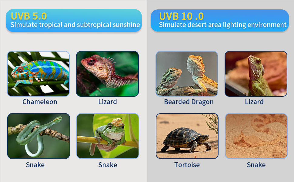 uvb bulbs for reptiles uva uvb reptile light bulb heat lamp bearded dragon uvb light for reptiles