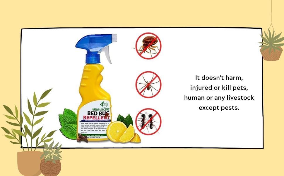 Home Secure HomeSecure Herbal Bed Bug Killer Spray Ready To Use Bed