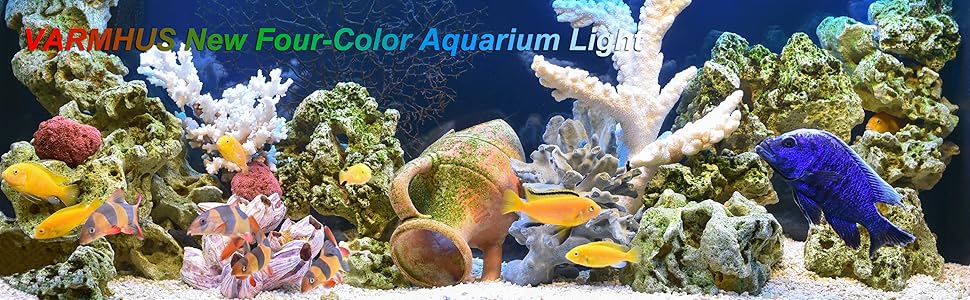 Aquarium Lights
