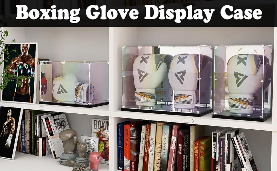 Boxing Glove Display Case