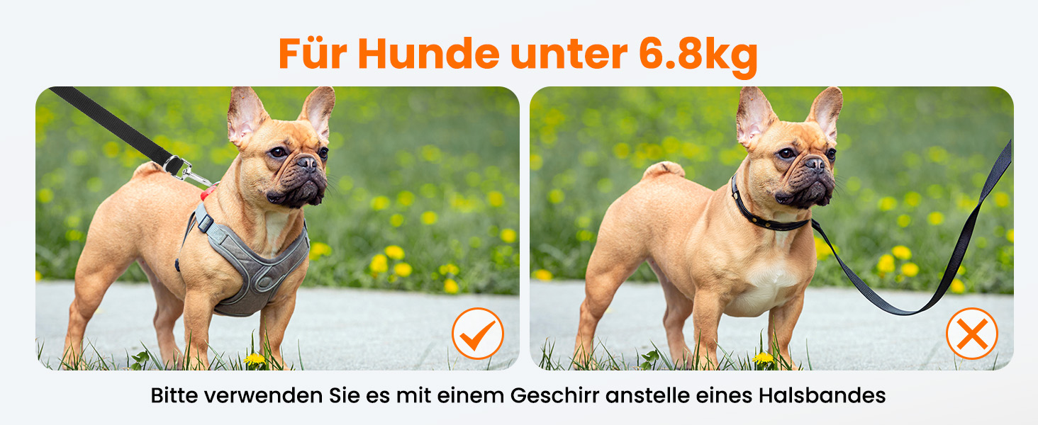 Zwei Bilder einer französischen Bulldogge, die ein Geschirr trägt. Der Text weist darauf hin, dass das Produkt für Hunde unter 6,8 ist