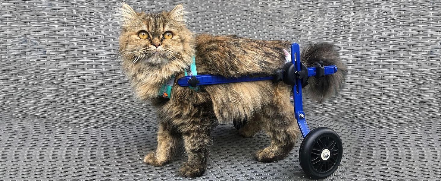 Walkin' Wheels Lightweight for Small Cats 2 to 20 Pounds