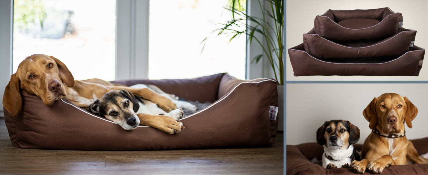 hundekissen hundematte hundesofa hundebettchen hundeschlafplatz hundekorb