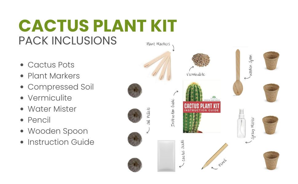 Cactus Grow Kit Grow Your Own Cactus from Seed Sustainable Eco