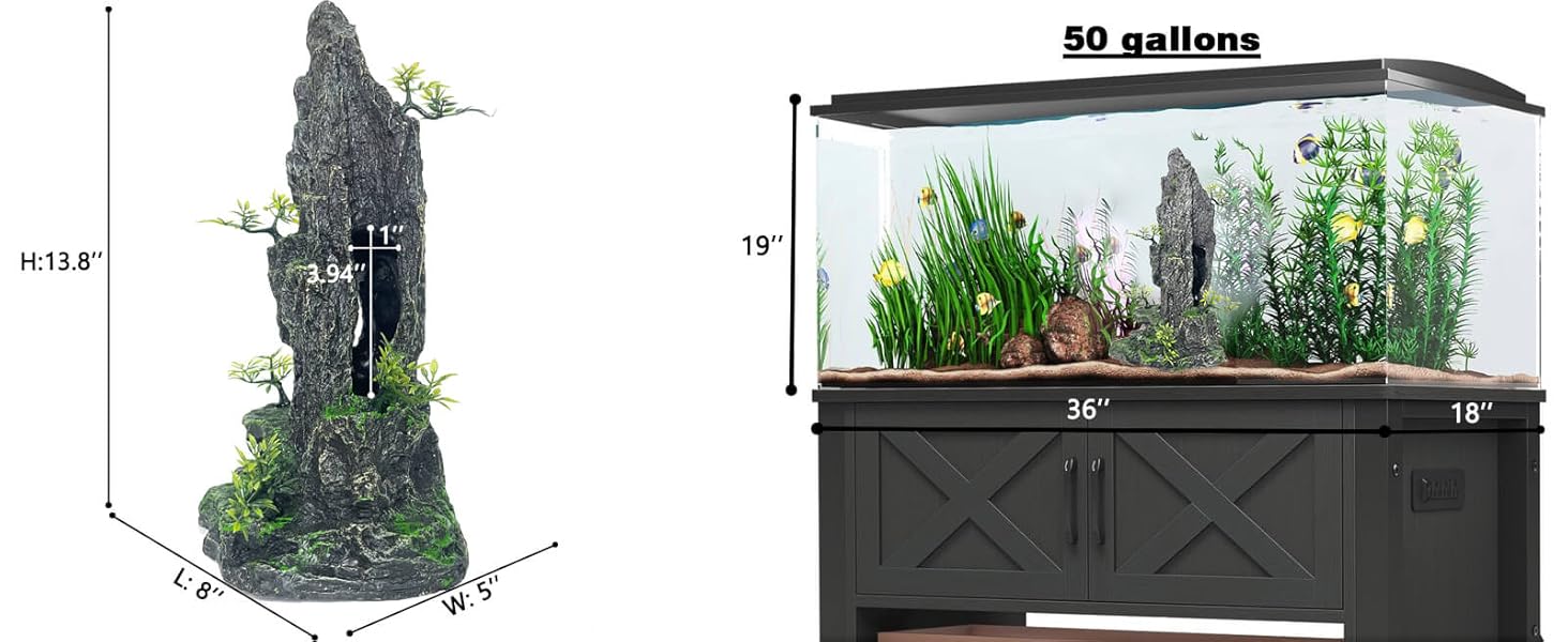 large fish tank decorations