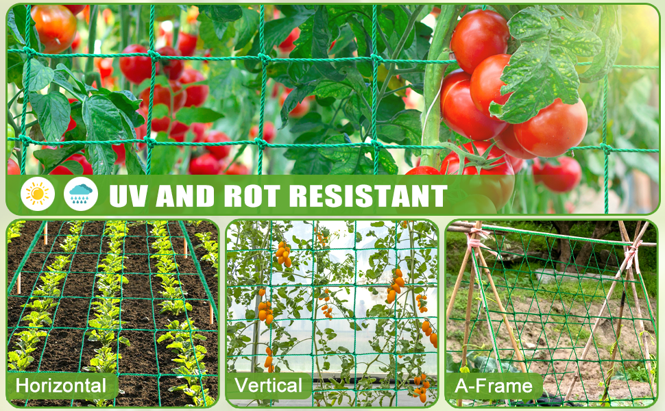 Trellis Netting, 9.85x6.6Ft Garden Trellis Netting for