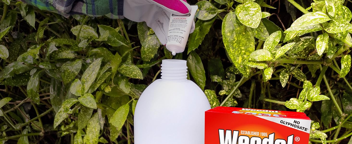 Pre-measured concentrate tubes