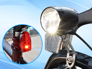 ebike
