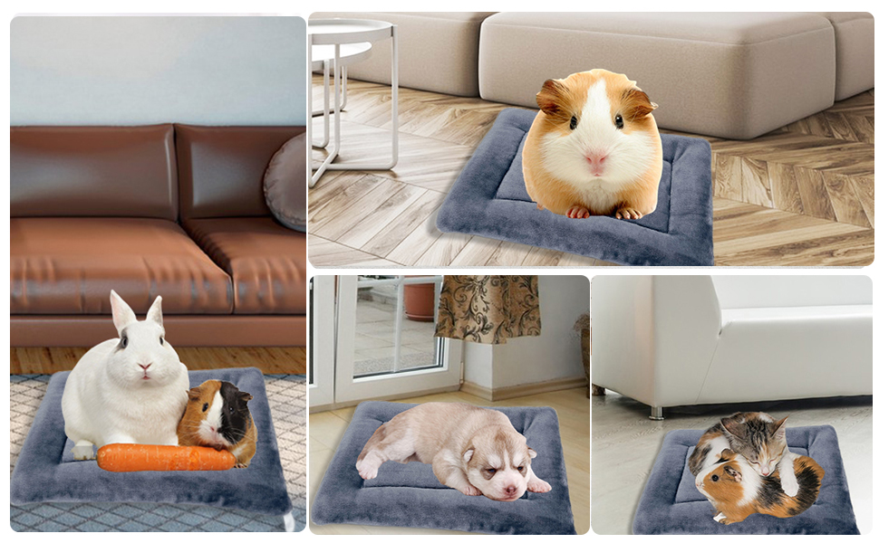 dog beds for small dogs