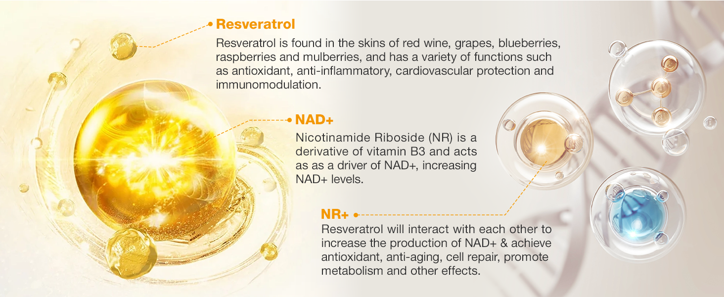 nad nicotinamide riboside 900
