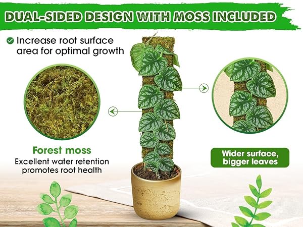 Amazon.com : DUSPRO Flat Mesh Moss Poles for Climbing Plants