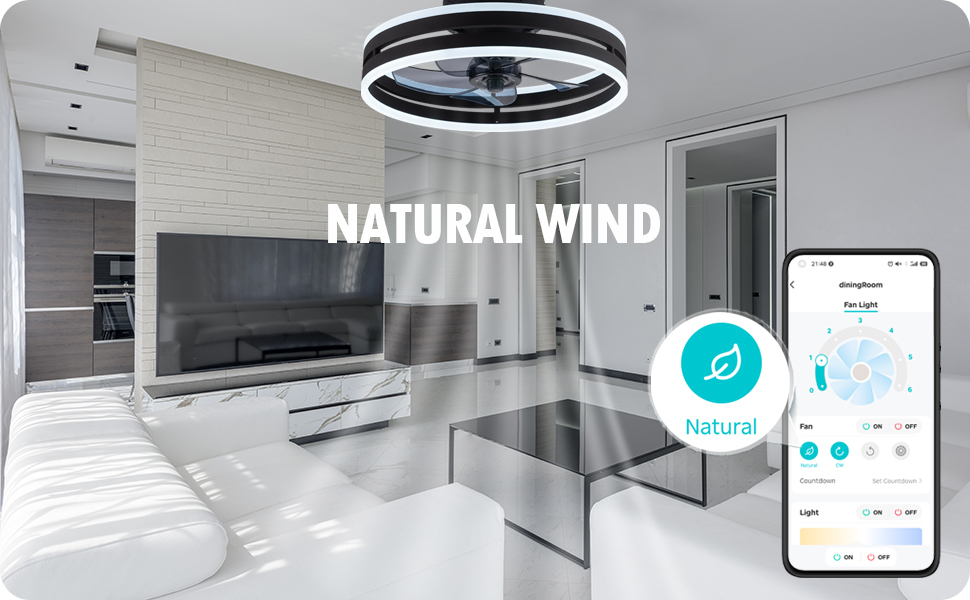 YoloOwl Flush Mount Ceiling Fan with Light and Bluetooth Speaker 6