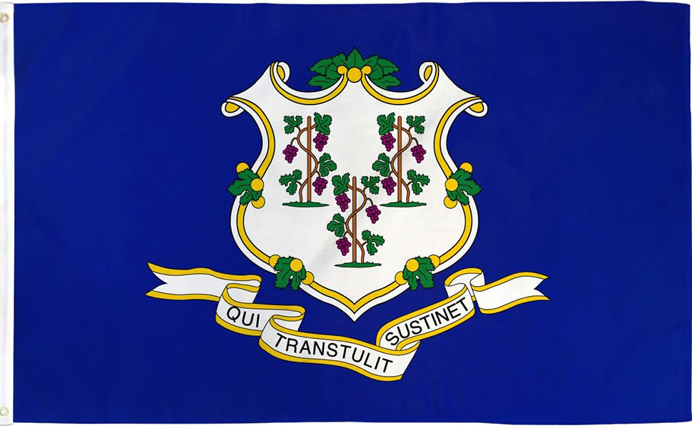 花瓶・フラワースタンド Ct flag DIGS \