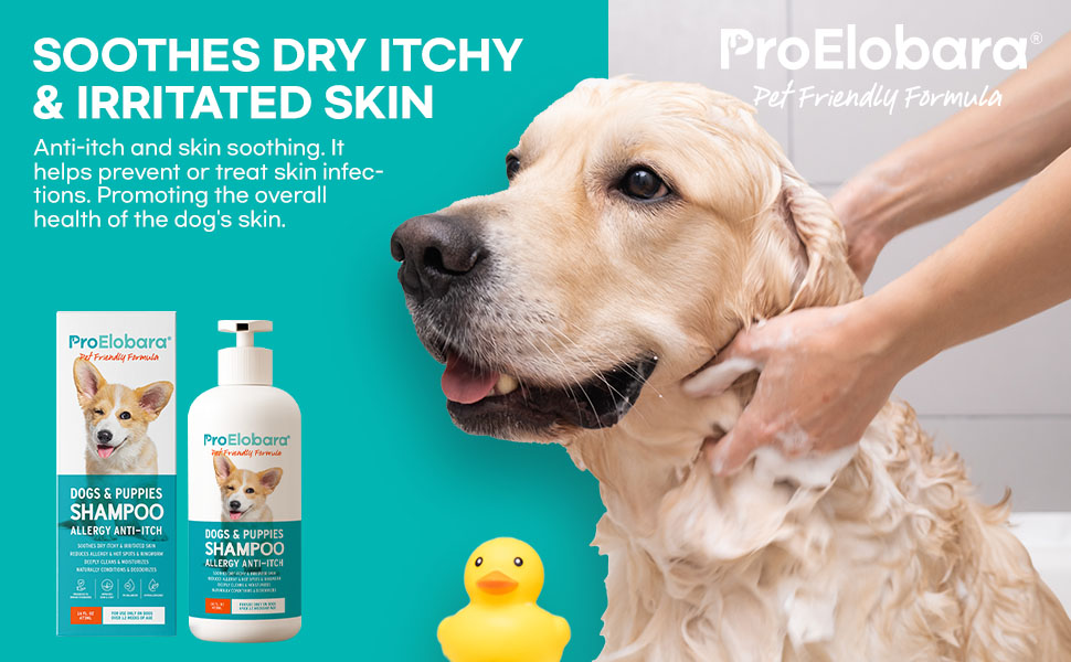 ProElobara Dog Shampoo Allergies Itching Effective Dog Shampoo Dog Shampoo for