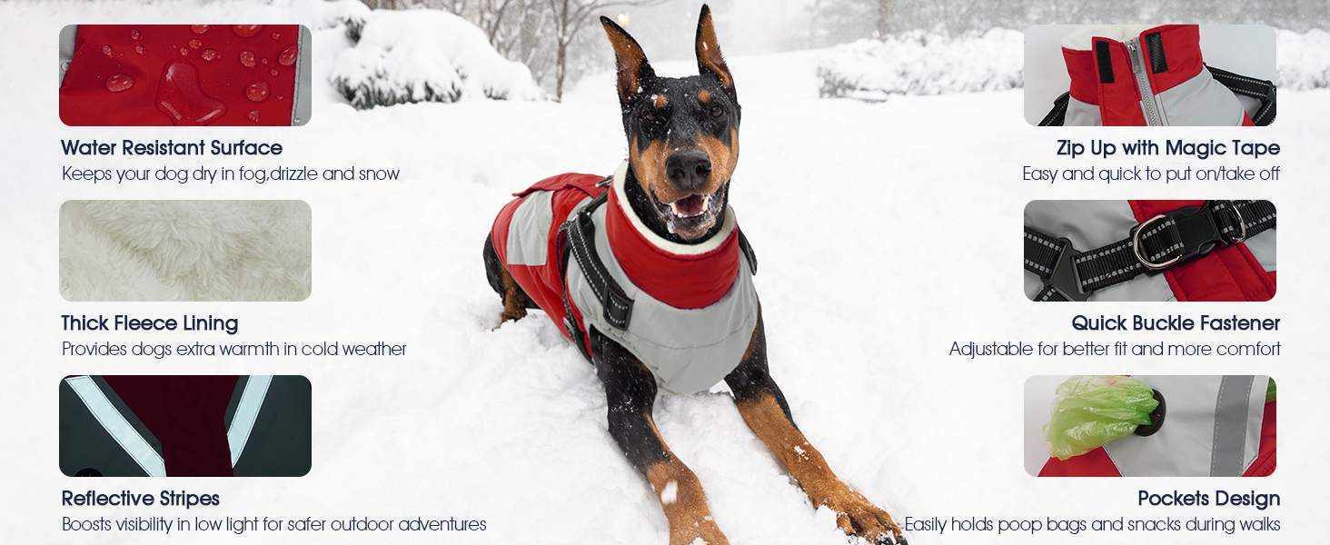 dog winter coat