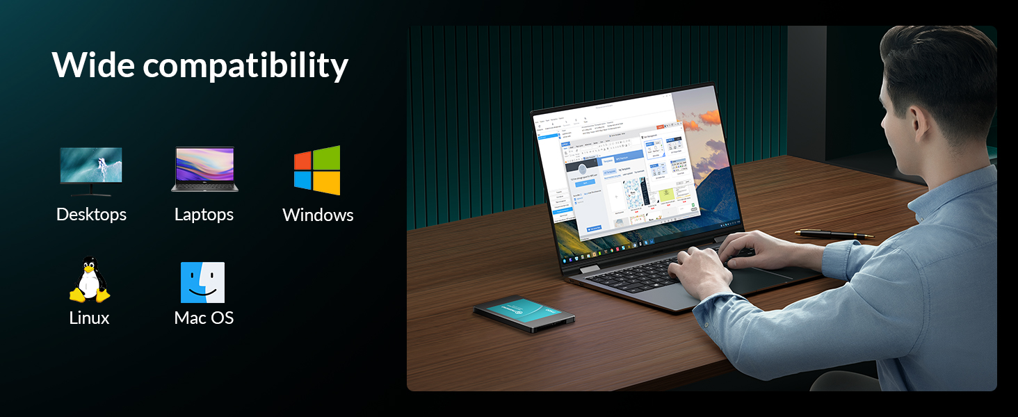 PHIXERO P500 SSD festplatte Intern 256GB 3D NAND,2.5 inch