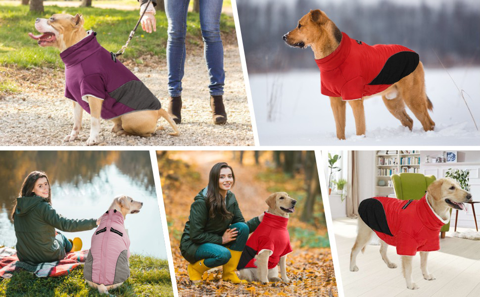 Oslueidy Dog Winter Jackets Warm Coats, Dogs Windproof Cold Weather