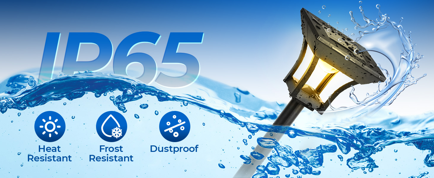 RGBCW outdoor solar garden lights