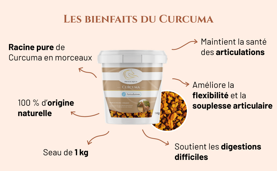Curcuma