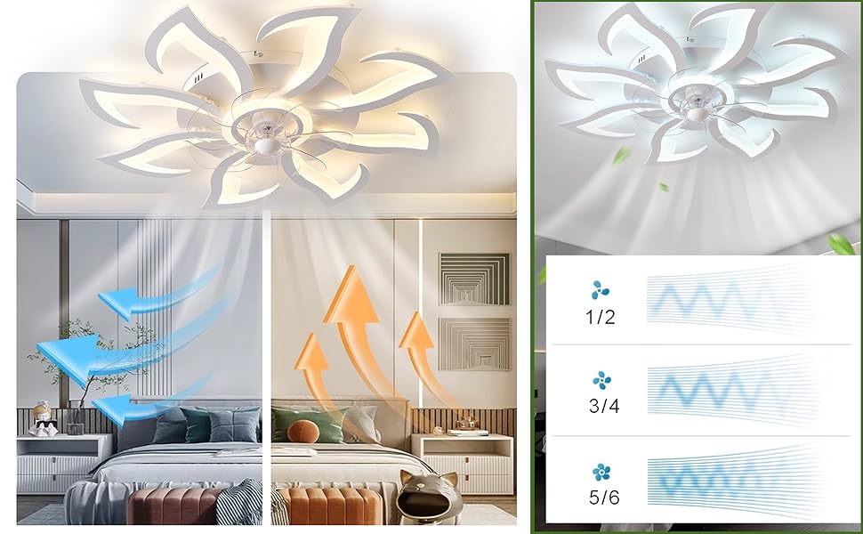 Ceiling fan with reversible 6-speed