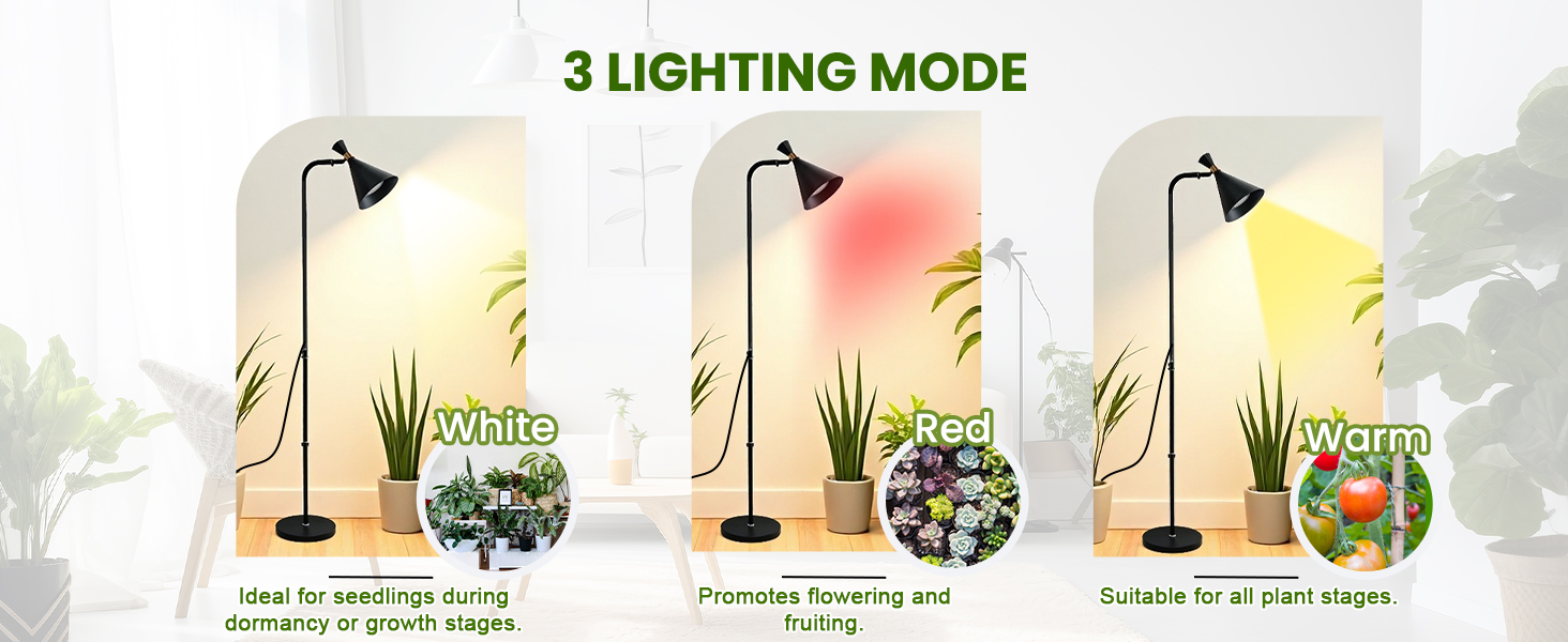 Large manufacture image 6