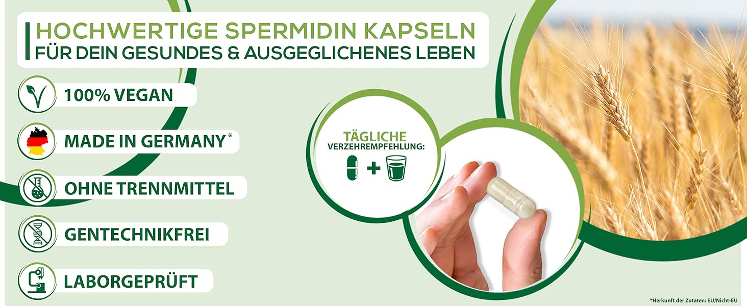 Spermidin Desktop Bild 4