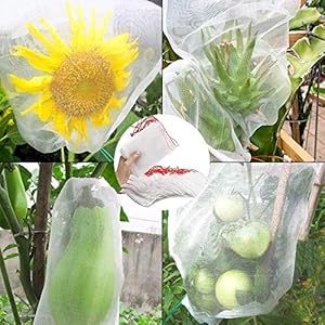 Amazon.co.jp: jbluelover ネット 農業用ネット Aサイズ 20cm