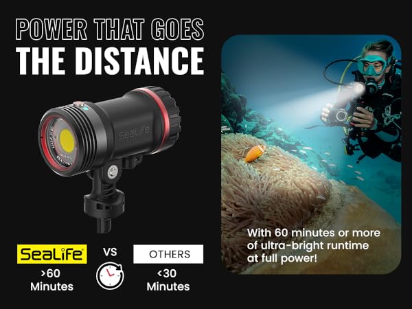 Amazon.com: Sea Dragon 2000F : SEALIFE: Electronics