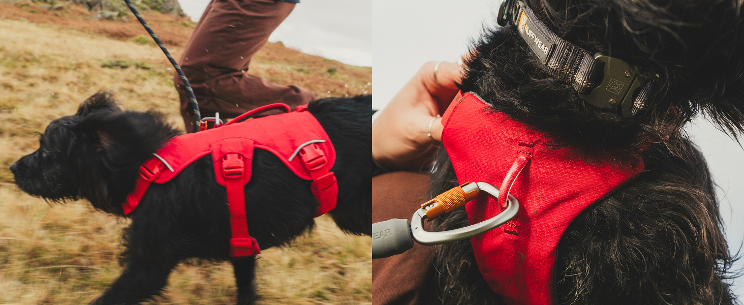 Large manufacture image 3