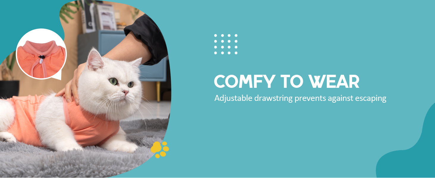 Gatto bianco che indossa un collare di recupero medico regolabile. Il testo recita «COMFY TO WEAR» a indicare il comfort
