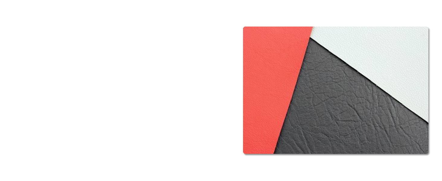 passport holder 42
