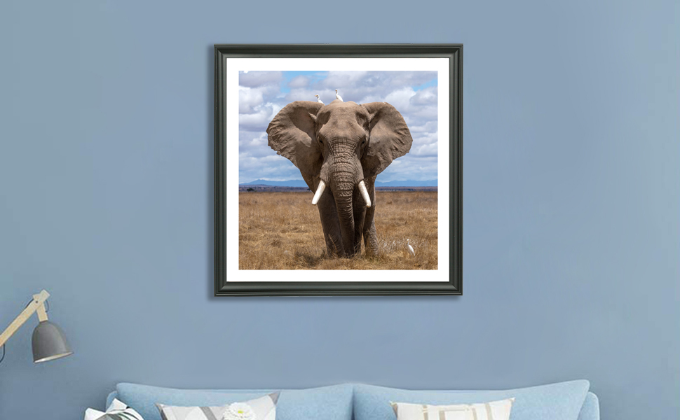 LTYHHK 22x22 Picture Frame Solid Wood,Displays Picture